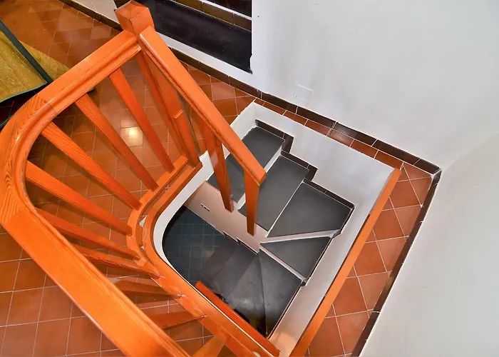 Lobster * Λεβάντο